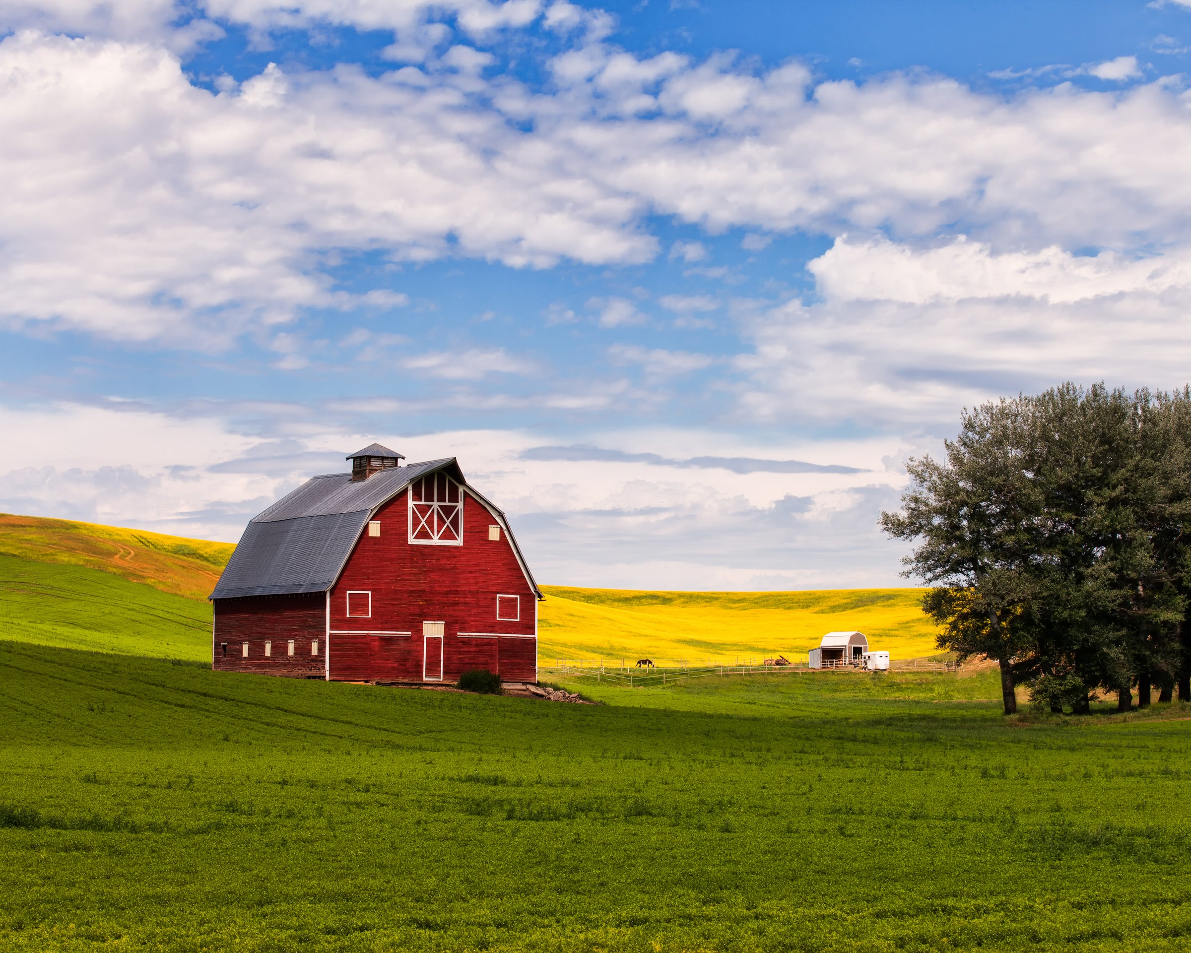 Okie Homesteading Okie Homesteading